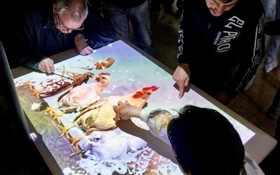 Fundación Upacesur Atiende, seleccionada en la Convocatoria Solidaria BBVA Futuro 2026 para desarrollar innovación terapéutica